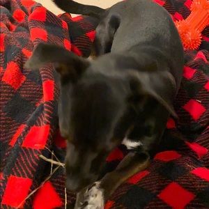 Meet your Posher, Nijah